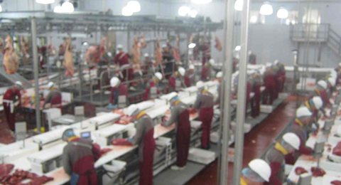 Slaney Meats Boning Hall